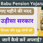 Madhu Babu Pension Yojana